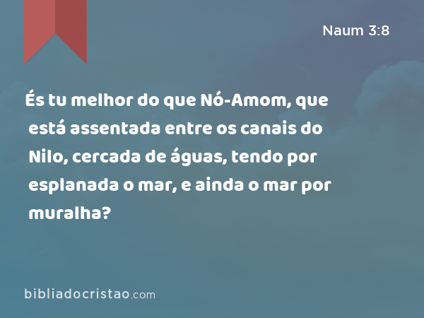 És tu melhor do que Nó-Amom, que está assentada entre os canais do Nilo, cercada de águas, tendo por esplanada o mar, e ainda o mar por muralha? - Naum 3:8