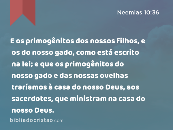 E os primogênitos dos nossos filhos, e os do nosso gado, como está escrito na lei; e que os primogênitos do nosso gado e das nossas ovelhas traríamos à casa do nosso Deus, aos sacerdotes, que ministram na casa do nosso Deus. - Neemias 10:36