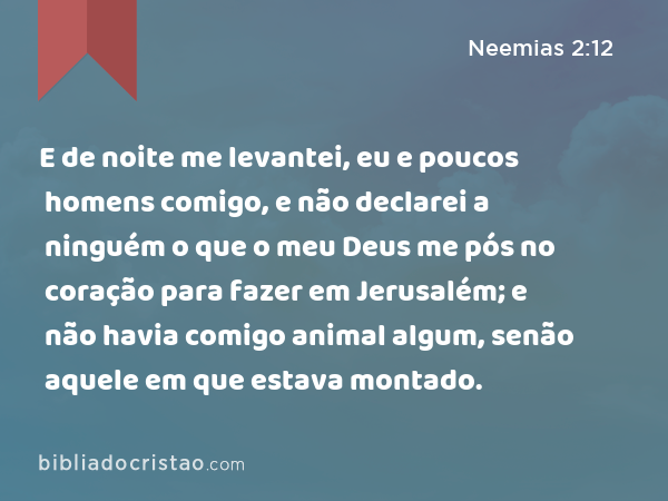 E de noite me levantei, eu e poucos homens comigo, e não declarei a ninguém o que o meu Deus me pós no coração para fazer em Jerusalém; e não havia comigo animal algum, senão aquele em que estava montado. - Neemias 2:12