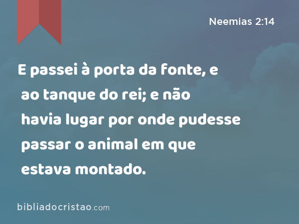 E passei à porta da fonte, e ao tanque do rei; e não havia lugar por onde pudesse passar o animal em que estava montado. - Neemias 2:14