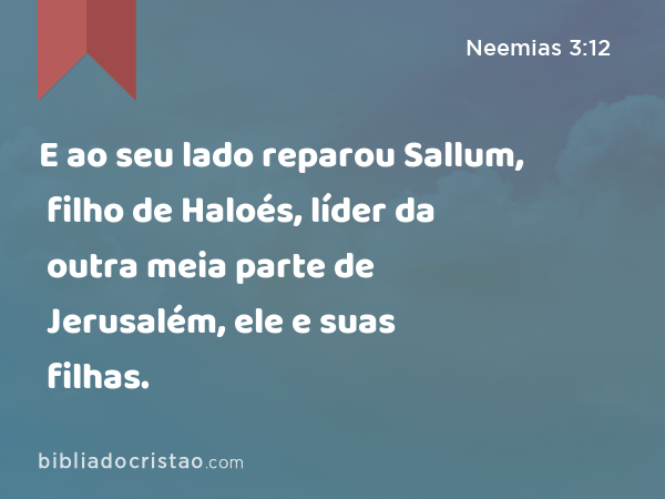 E ao seu lado reparou Sallum, filho de Haloés, líder da outra meia parte de Jerusalém, ele e suas filhas. - Neemias 3:12