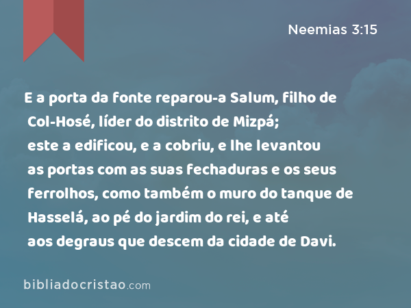 E a porta da fonte reparou-a Salum, filho de Col-Hosé, líder do distrito de Mizpá; este a edificou, e a cobriu, e lhe levantou as portas com as suas fechaduras e os seus ferrolhos, como também o muro do tanque de Hasselá, ao pé do jardim do rei, e até aos degraus que descem da cidade de Davi. - Neemias 3:15