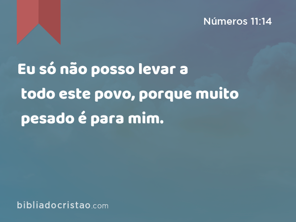 Eu só não posso levar a todo este povo, porque muito pesado é para mim. - Números 11:14