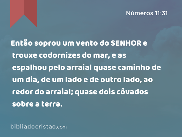 Então soprou um vento do SENHOR e trouxe codornizes do mar, e as espalhou pelo arraial quase caminho de um dia, de um lado e de outro lado, ao redor do arraial; quase dois côvados sobre a terra. - Números 11:31