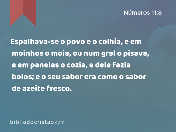 Espalhava-se o povo e o colhia, e em moinhos o moia, ou num gral o pisava, e em panelas o cozia, e dele fazia bolos; e o seu sabor era como o sabor de azeite fresco. - Números 11:8