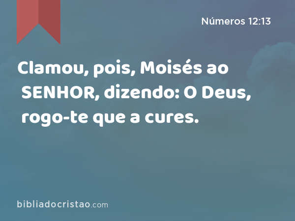 Clamou, pois, Moisés ao SENHOR, dizendo: O Deus, rogo-te que a cures. - Números 12:13