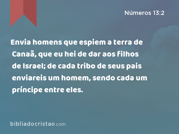 Envia homens que espiem a terra de Canaã, que eu hei de dar aos filhos de Israel; de cada tribo de seus pais enviareis um homem, sendo cada um príncipe entre eles. - Números 13:2