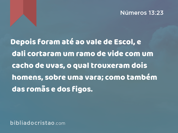 Depois foram até ao vale de Escol, e dali cortaram um ramo de vide com um cacho de uvas, o qual trouxeram dois homens, sobre uma vara; como também das romãs e dos figos. - Números 13:23