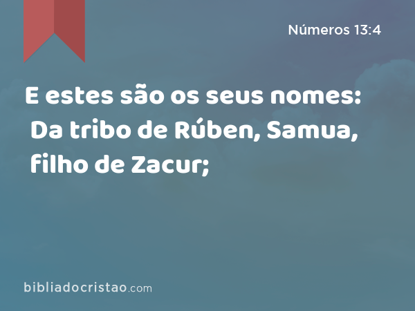 E estes são os seus nomes: Da tribo de Rúben, Samua, filho de Zacur; - Números 13:4