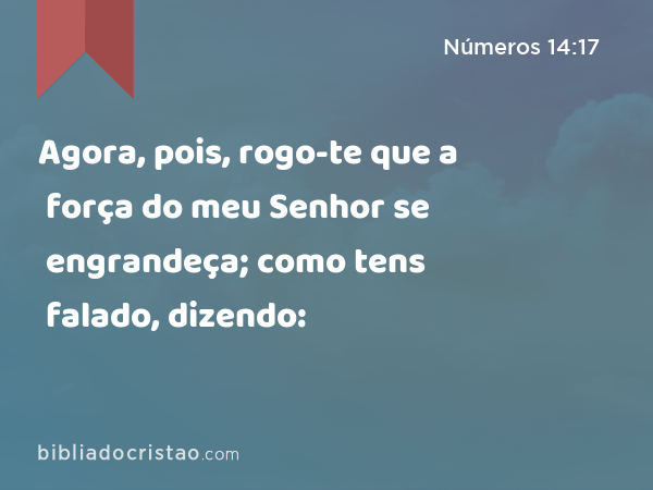 Agora, pois, rogo-te que a força do meu Senhor se engrandeça; como tens falado, dizendo: - Números 14:17