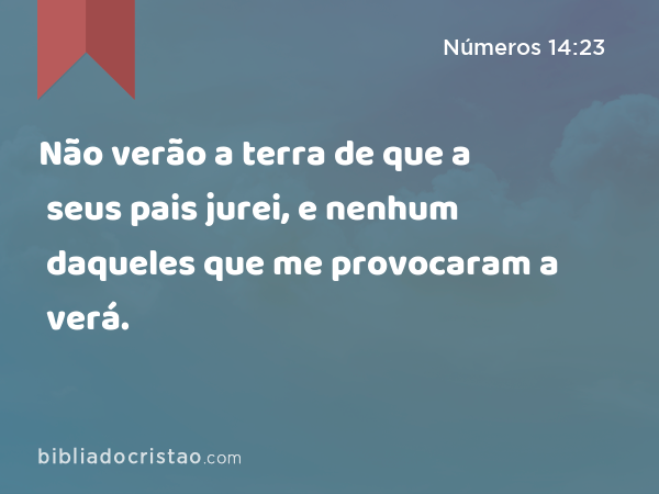 Não verão a terra de que a seus pais jurei, e nenhum daqueles que me provocaram a verá. - Números 14:23