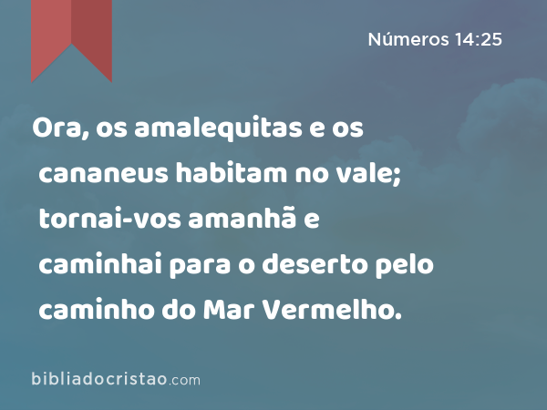 Ora, os amalequitas e os cananeus habitam no vale; tornai-vos amanhã e caminhai para o deserto pelo caminho do Mar Vermelho. - Números 14:25