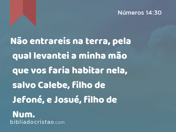 Não entrareis na terra, pela qual levantei a minha mão que vos faria habitar nela, salvo Calebe, filho de Jefoné, e Josué, filho de Num. - Números 14:30