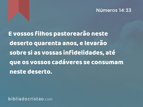 E vossos filhos pastorearão neste deserto quarenta anos, e levarão sobre si as vossas infidelidades, até que os vossos cadáveres se consumam neste deserto. - Números 14:33