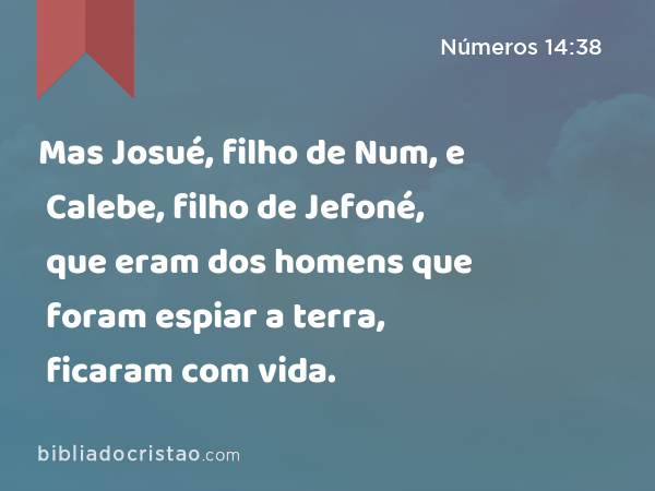 Mas Josué, filho de Num, e Calebe, filho de Jefoné, que eram dos homens que foram espiar a terra, ficaram com vida. - Números 14:38