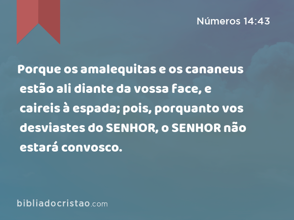 Porque os amalequitas e os cananeus estão ali diante da vossa face, e caireis à espada; pois, porquanto vos desviastes do SENHOR, o SENHOR não estará convosco. - Números 14:43