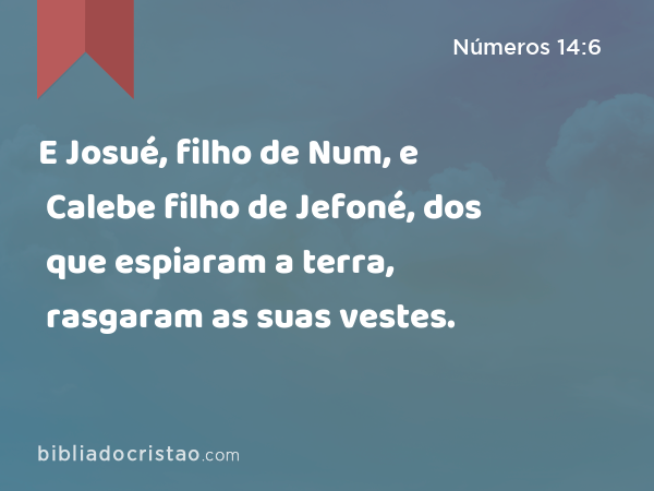 E Josué, filho de Num, e Calebe filho de Jefoné, dos que espiaram a terra, rasgaram as suas vestes. - Números 14:6