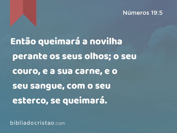 Então queimará a novilha perante os seus olhos; o seu couro, e a sua carne, e o seu sangue, com o seu esterco, se queimará. - Números 19:5