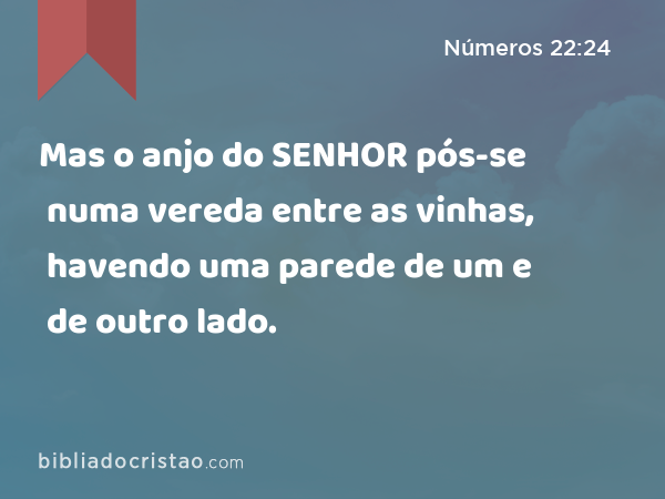 Mas o anjo do SENHOR pós-se numa vereda entre as vinhas, havendo uma parede de um e de outro lado. - Números 22:24