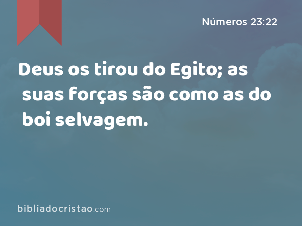 Deus os tirou do Egito; as suas forças são como as do boi selvagem. - Números 23:22