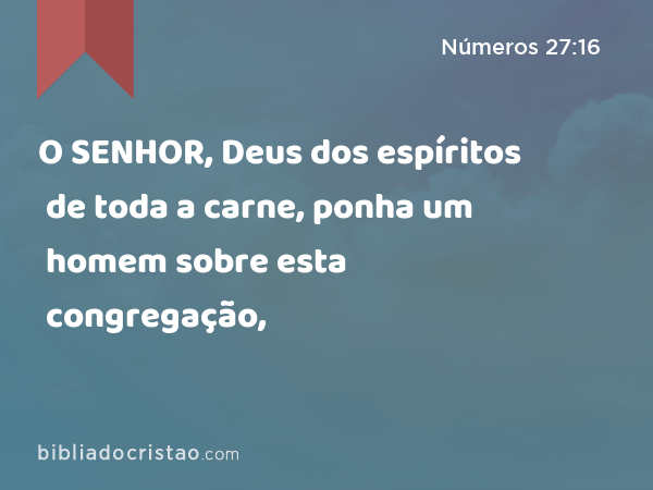 O SENHOR, Deus dos espíritos de toda a carne, ponha um homem sobre esta congregação, - Números 27:16