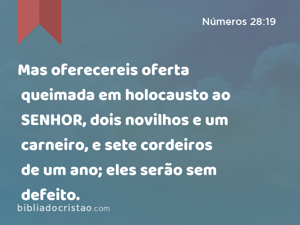 Mas oferecereis oferta queimada em holocausto ao SENHOR, dois novilhos e um carneiro, e sete cordeiros de um ano; eles serão sem defeito. - Números 28:19