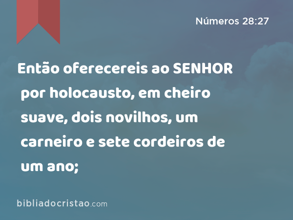 Então oferecereis ao SENHOR por holocausto, em cheiro suave, dois novilhos, um carneiro e sete cordeiros de um ano; - Números 28:27