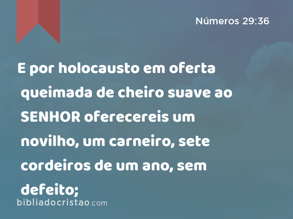 E por holocausto em oferta queimada de cheiro suave ao SENHOR oferecereis um novilho, um carneiro, sete cordeiros de um ano, sem defeito; - Números 29:36