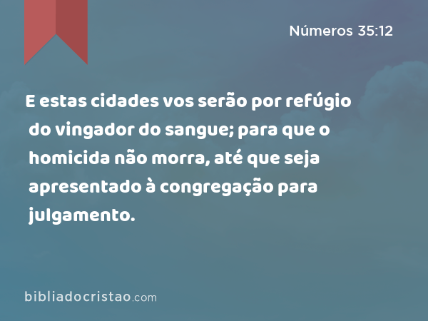 E estas cidades vos serão por refúgio do vingador do sangue; para que o homicida não morra, até que seja apresentado à congregação para julgamento. - Números 35:12