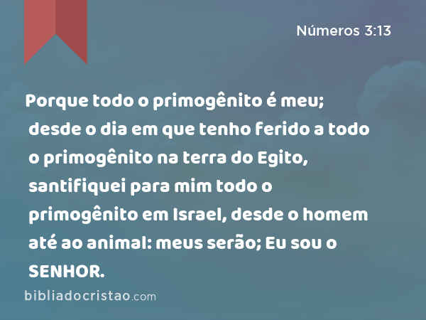 Porque todo o primogênito é meu; desde o dia em que tenho ferido a todo o primogênito na terra do Egito, santifiquei para mim todo o primogênito em Israel, desde o homem até ao animal: meus serão; Eu sou o SENHOR. - Números 3:13