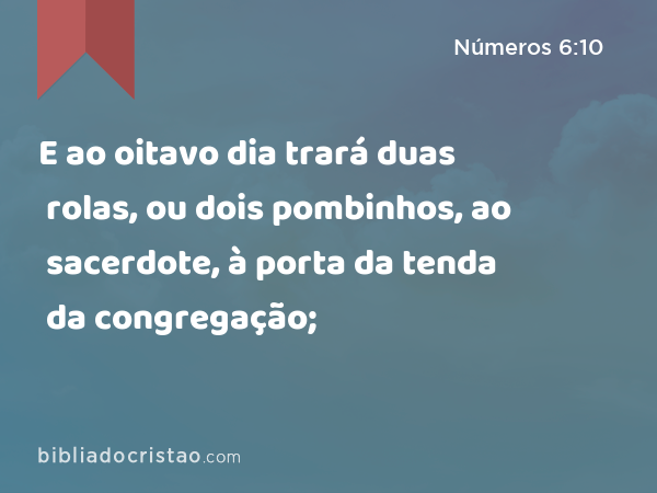 E ao oitavo dia trará duas rolas, ou dois pombinhos, ao sacerdote, à porta da tenda da congregação; - Números 6:10