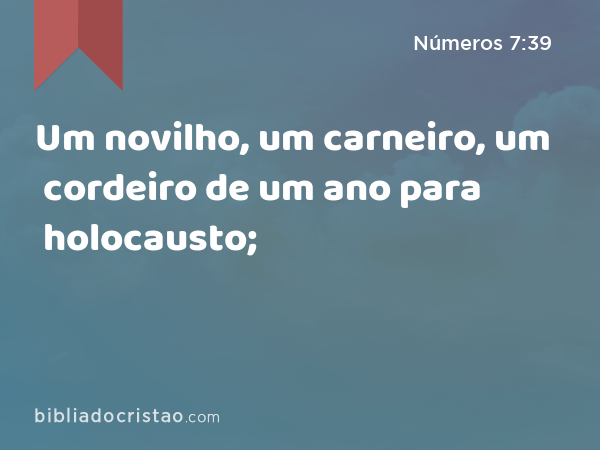 Um novilho, um carneiro, um cordeiro de um ano para holocausto; - Números 7:39