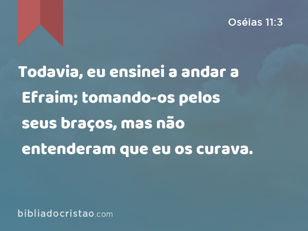 Todavia, eu ensinei a andar a Efraim; tomando-os pelos seus braços, mas não entenderam que eu os curava. - Oséias 11:3