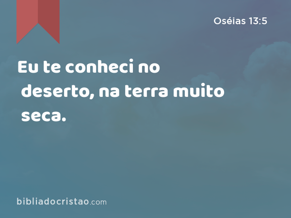 Eu te conheci no deserto, na terra muito seca. - Oséias 13:5