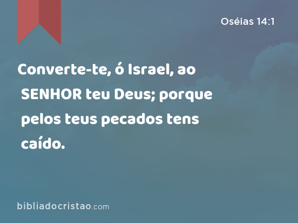 Converte-te, ó Israel, ao SENHOR teu Deus; porque pelos teus pecados tens caído. - Oséias 14:1