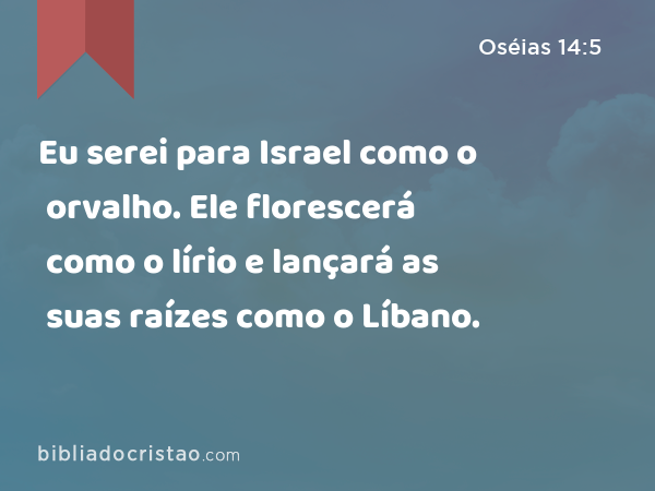 Eu serei para Israel como o orvalho. Ele florescerá como o lírio e lançará as suas raízes como o Líbano. - Oséias 14:5