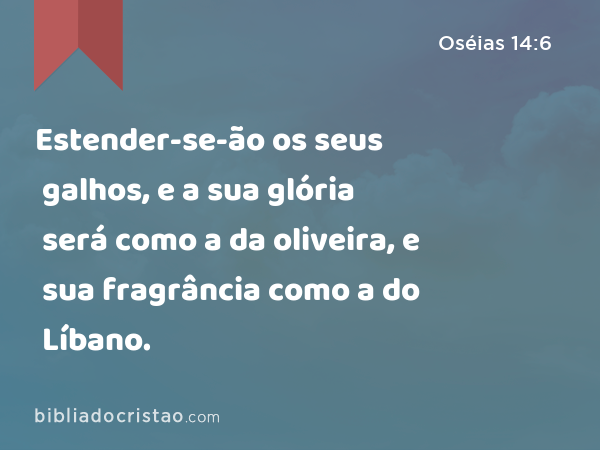 Estender-se-ão os seus galhos, e a sua glória será como a da oliveira, e sua fragrância como a do Líbano. - Oséias 14:6