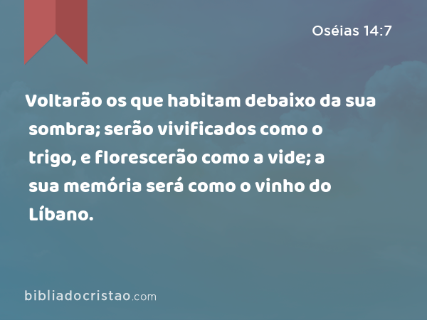 Voltarão os que habitam debaixo da sua sombra; serão vivificados como o trigo, e florescerão como a vide; a sua memória será como o vinho do Líbano. - Oséias 14:7