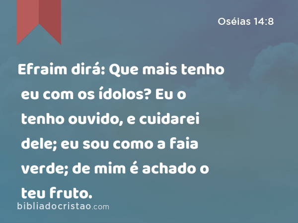 Efraim dirá: Que mais tenho eu com os ídolos? Eu o tenho ouvido, e cuidarei dele; eu sou como a faia verde; de mim é achado o teu fruto. - Oséias 14:8