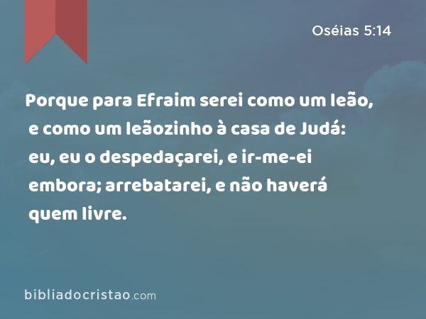 Porque para Efraim serei como um leão, e como um leãozinho à casa de Judá: eu, eu o despedaçarei, e ir-me-ei embora; arrebatarei, e não haverá quem livre. - Oséias 5:14