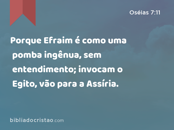 Porque Efraim é como uma pomba ingênua, sem entendimento; invocam o Egito, vão para a Assíria. - Oséias 7:11