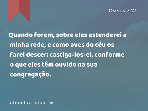 Quando forem, sobre eles estenderei a minha rede, e como aves do céu os farei descer; castiga-los-ei, conforme o que eles têm ouvido na sua congregação. - Oséias 7:12