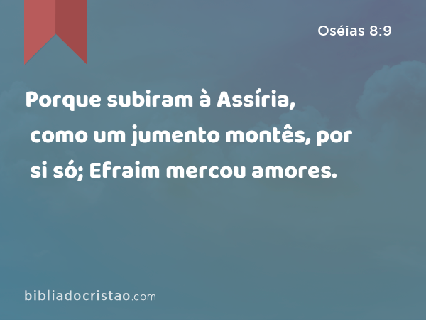 Porque subiram à Assíria, como um jumento montês, por si só; Efraim mercou amores. - Oséias 8:9