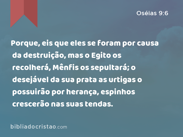 Porque, eis que eles se foram por causa da destruição, mas o Egito os recolherá, Mênfis os sepultará; o desejável da sua prata as urtigas o possuirão por herança, espinhos crescerão nas suas tendas. - Oséias 9:6