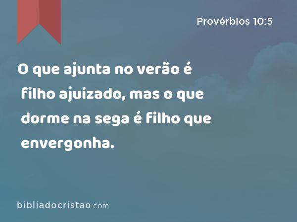 O que ajunta no verão é filho ajuizado, mas o que dorme na sega é filho que envergonha. - Provérbios 10:5