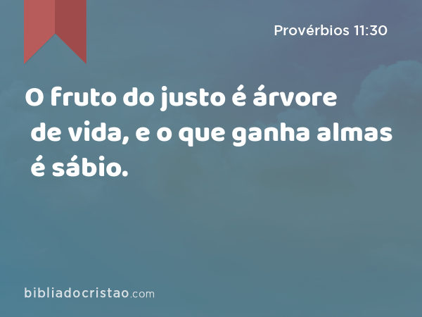 O fruto do justo é árvore de vida, e o que ganha almas é sábio. - Provérbios 11:30