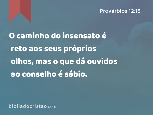 O caminho do insensato é reto aos seus próprios olhos, mas o que dá ouvidos ao conselho é sábio. - Provérbios 12:15