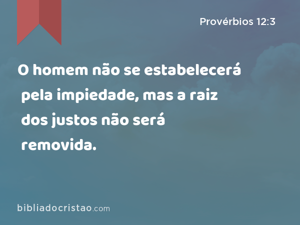 O homem não se estabelecerá pela impiedade, mas a raiz dos justos não será removida. - Provérbios 12:3