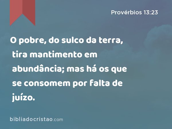 O pobre, do sulco da terra, tira mantimento em abundância; mas há os que se consomem por falta de juízo. - Provérbios 13:23