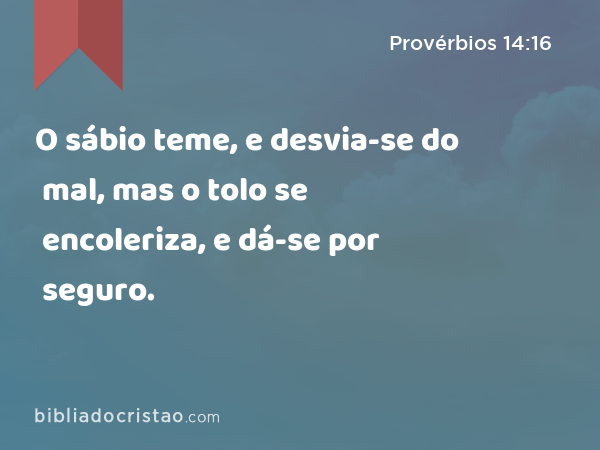 O sábio teme, e desvia-se do mal, mas o tolo se encoleriza, e dá-se por seguro. - Provérbios 14:16